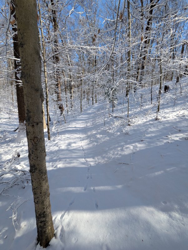 PXL_20250120_163800075.MP.jpg
