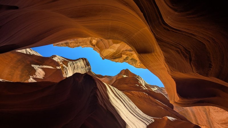 PXL_20250308_173046974.jpg