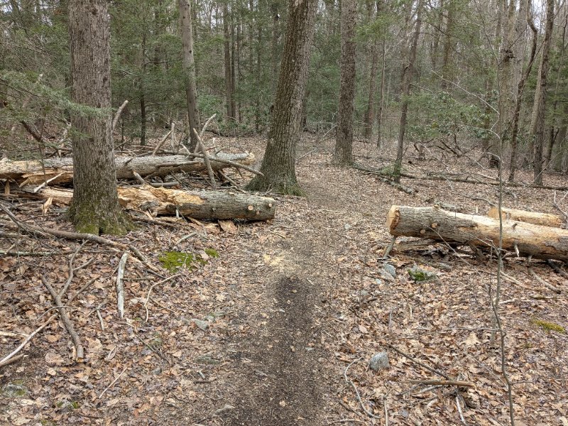 PXL_20250402_184212281.jpg