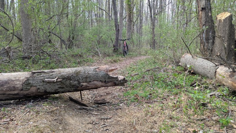 PXL_20250419_202435088.jpg