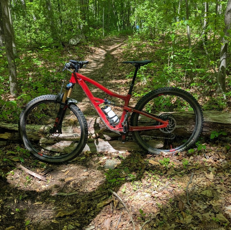 PXL_20250510_155153976.jpg
