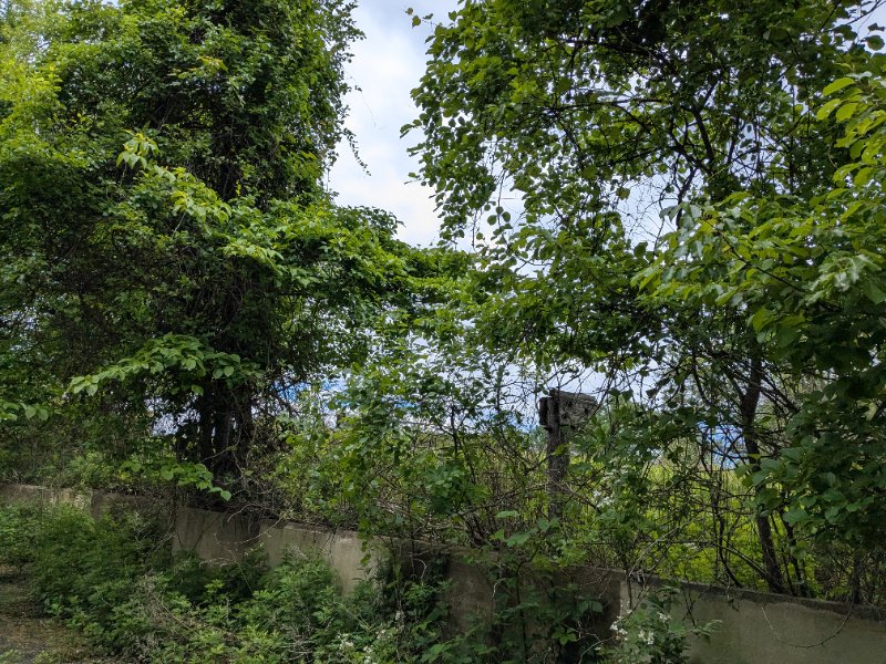 PXL_20250524_182942931.jpg