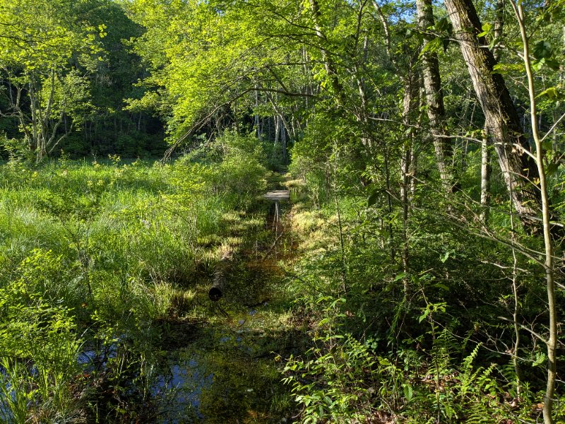 PXL_20250601_111822034.jpg