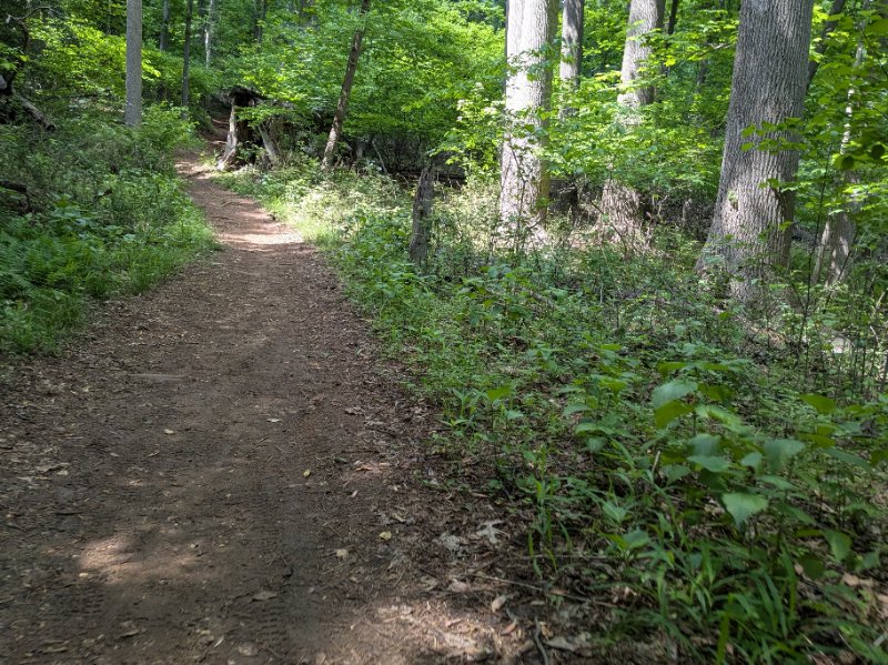 PXL_20250601_183015959.jpg