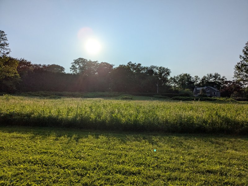PXL_20250604_224145361.jpg