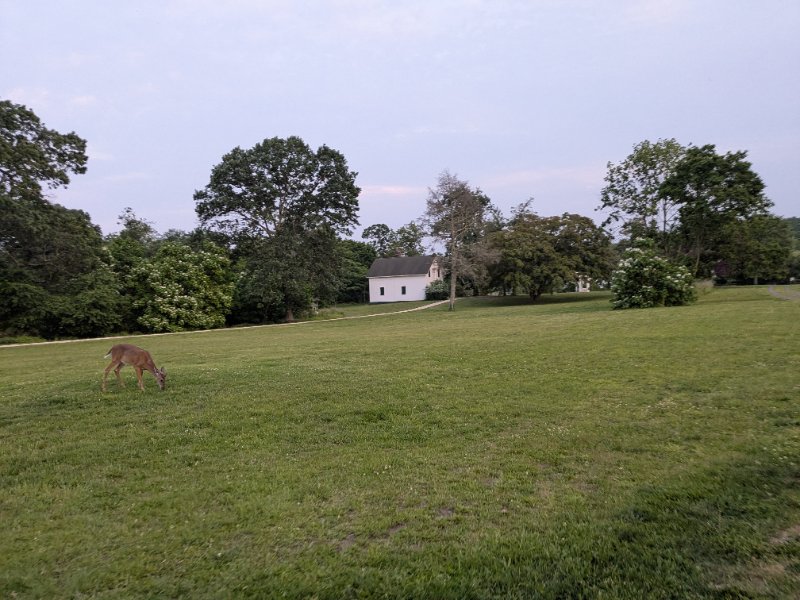 PXL_20250606_000445564.jpg