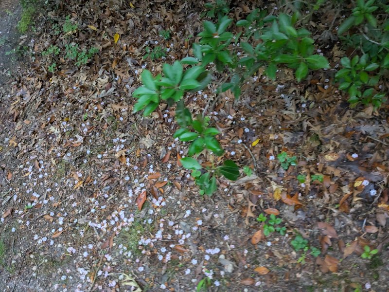 PXL_20250609_225337104.jpg