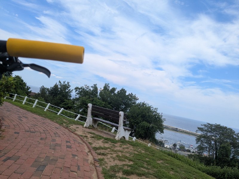PXL_20250629_183948817.jpg