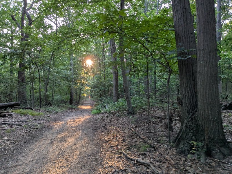 PXL_20250715_232957523.jpg