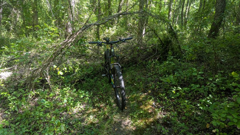PXL_20250809_190321623.jpg