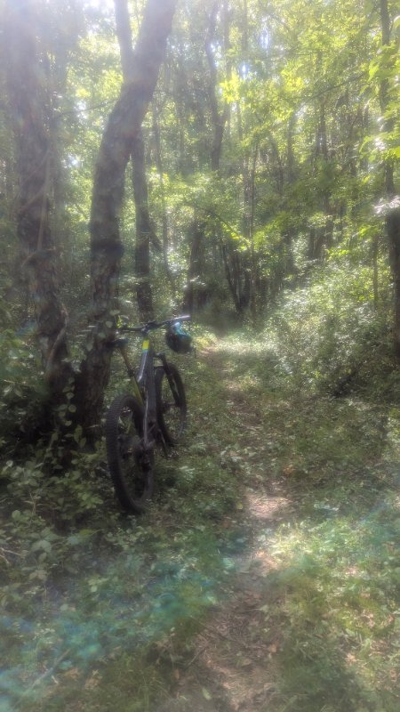 PXL_20250824_194103339.jpg