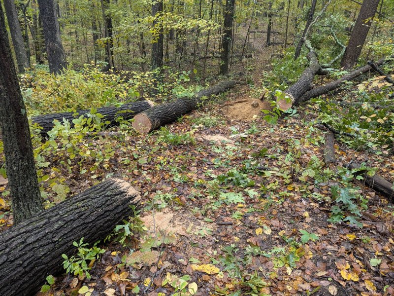 PXL_20251014_155650288~2.jpg
