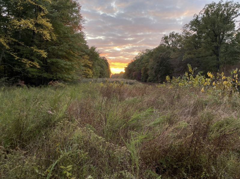 Screenshot 2023-10-18 at 8.53.55 PM.png