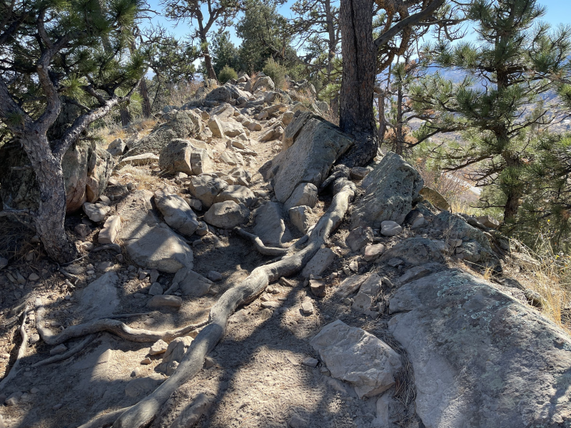 Screenshot 2023-10-25 at 7.04.17 AM.png