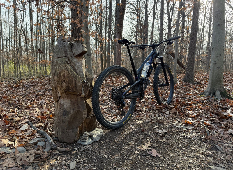 Screenshot 2024-11-27 at 3.54.32 PM.png