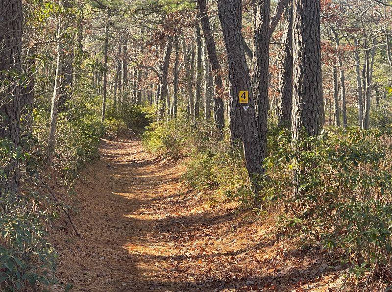 Screenshot 2025-12-01 at 1.48.48 PM.png