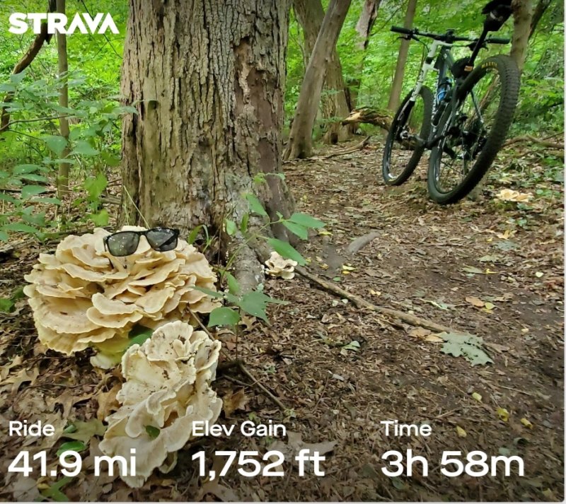 Screenshot_20230703-133605_Strava.jpg