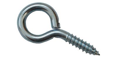 screw_eyes_lag_screw_MED.jpg