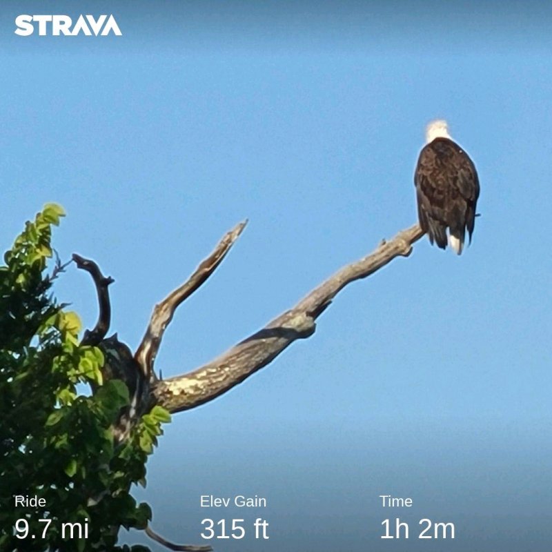 strava1369234518896187025_371818132497848.jpg