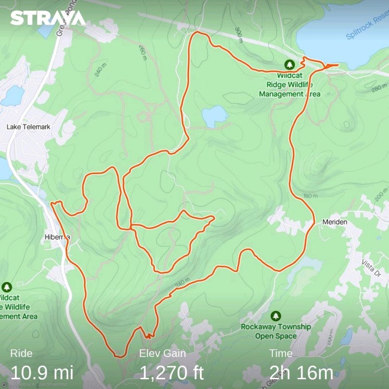 strava3353563457456459687.jpg