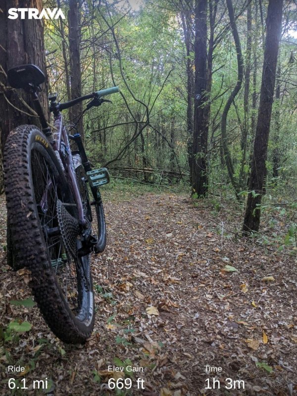 strava3833117472349789100.jpg