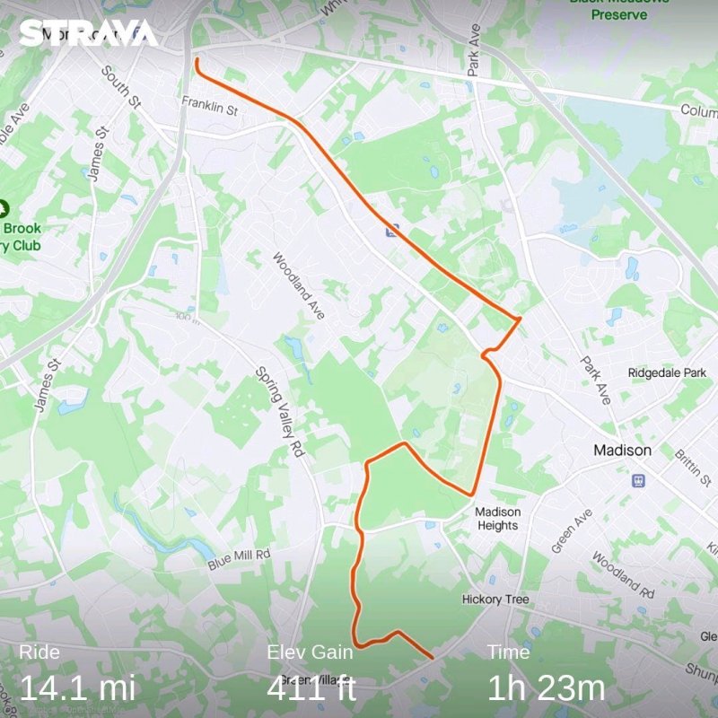 strava4498629072461543859.jpg