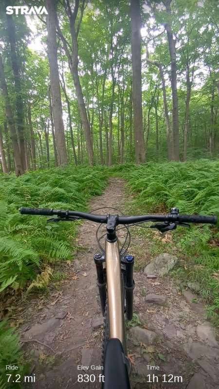 strava7220102926174807157.jpg