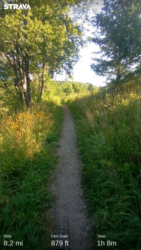 strava7714100963465018606.jpg