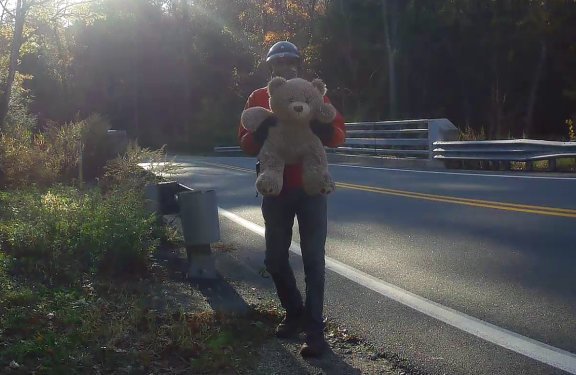 ted bear ted.jpg
