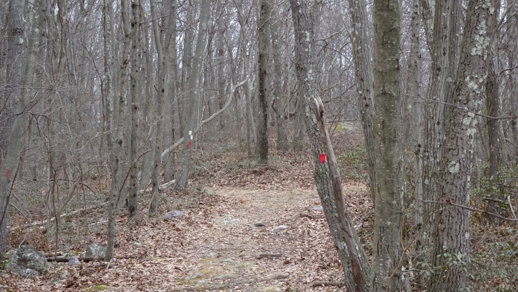 Terrace fire rd09.jpg