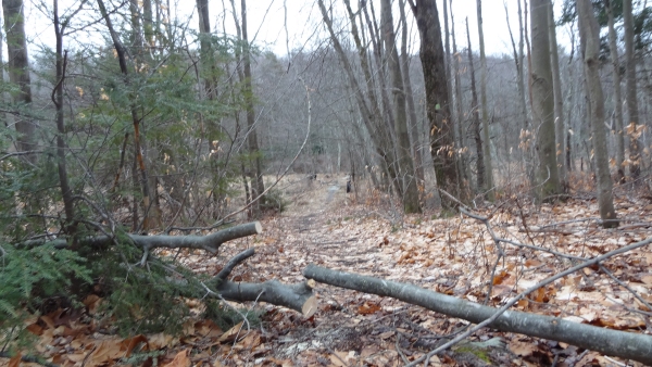 Twin Bridges maint06.jpg