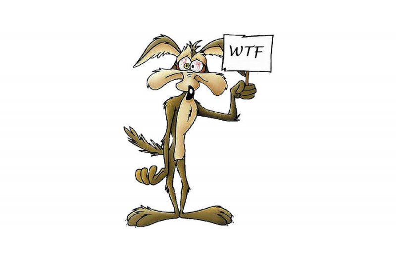 wile-e-coyote-pat-cook.jpg