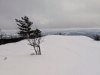 IMG_20191204_125647.jpg