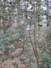DSCN2276.JPG