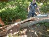 DSCN2479.JPG