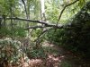DSCN2488.JPG