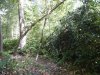 DSCN2489.JPG