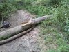 fullsizeoutput_d58.jpeg