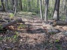 PXL_20210426_125802805.jpg