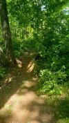 20210517_110743.jpg