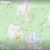 0_strava1100173624592528750.jpg