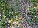 20201001_200241.JPG