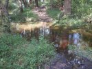 DSCN2695.JPG
