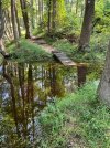 IMG_1674.jpg