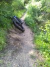 Orangetrail-Rework-site. jpg.jpg