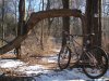 DSCN1384.JPG
