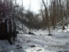 DSCN1391.JPG