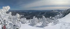 PXL_20230303_175757516.PANO.jpg