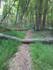 IMG_1634.jpg