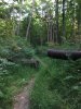 IMG_1635.jpg